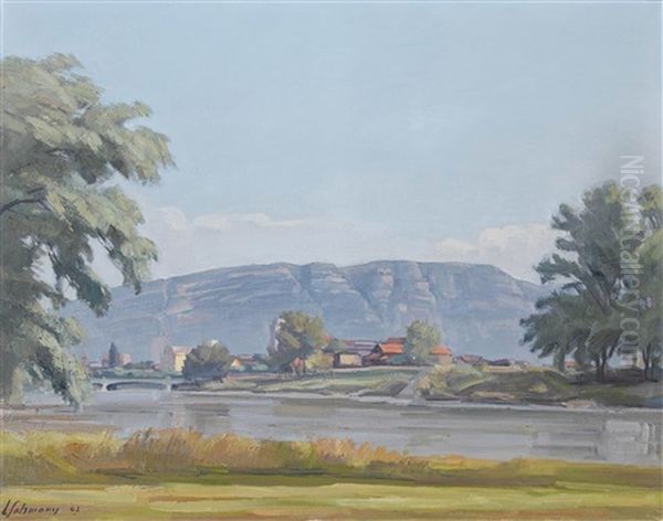 L'arve Et Mont Saleve Oil Painting by Louis Henri Salzmann
