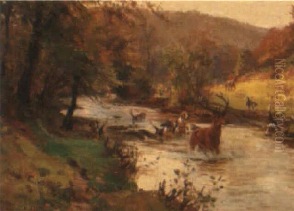 Down The Bank Oil Painting by John Sanderson-Wells