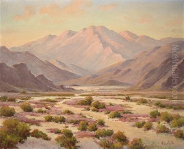 Flowering Desert At Sunset Oil Painting by Herbert Sartelle