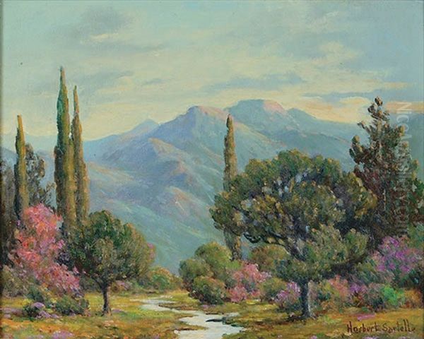 Spring In The Sky Oil Painting by Herbert Sartelle