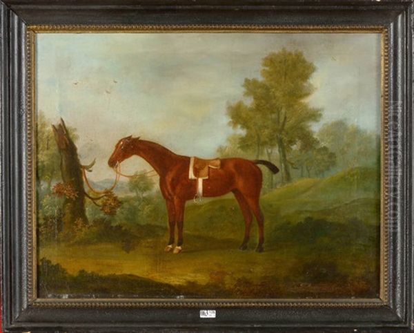 Cheval Attache Dans Une Clairiere Oil Painting by Francis Sartorius the Elder