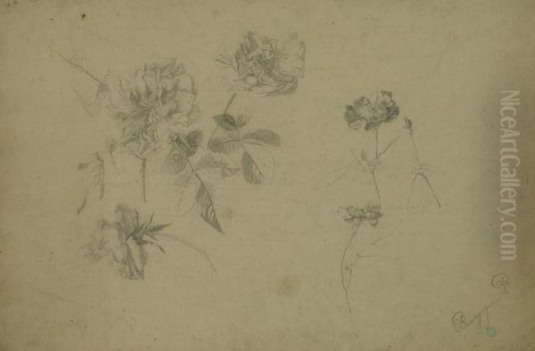 Lot De 10 Etudes De Fleurs Oil Painting by Pierre Bourgogne