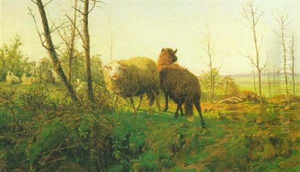 Pecore Oil Painting by August Friedrich Albrecht Schenck