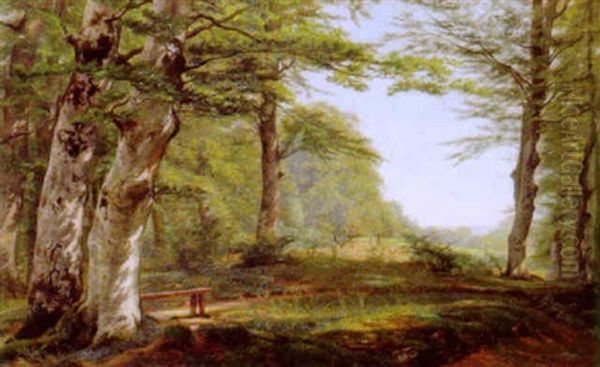 Waldlichtung Im Sonnenlicht Oil Painting by August Heinrich Georg Schiott