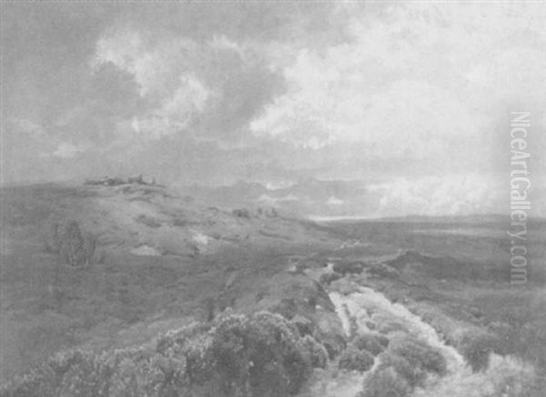 Heidelandschaft Bei Aufziehendem Gewitter Oil Painting by Carl Cowen Schirm