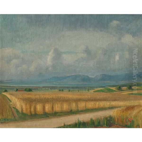 Sommerliche Feldlandschaft Am See Oil Painting by Traugott Senn