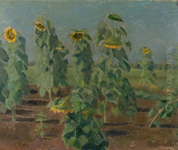 Sonnenblumen Im Grossen Moor Oil Painting by Traugott Senn