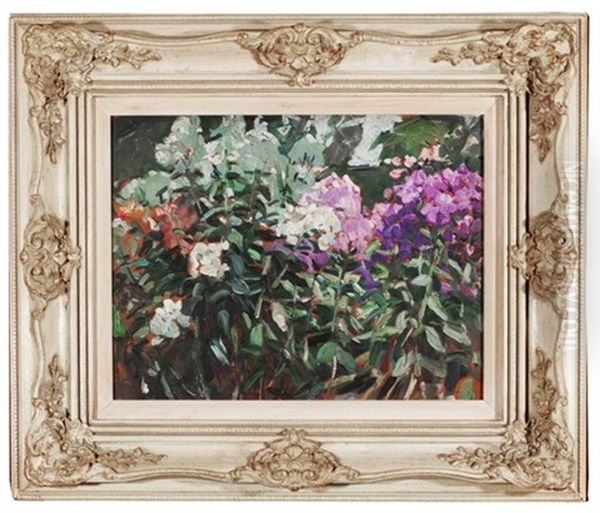 Phlox In Midsummer - A Study Oil Painting by Dorothea Sharp