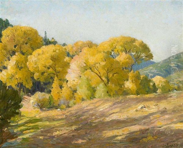 Taos Cotton Oil Painting by Joseph Henry Sharp