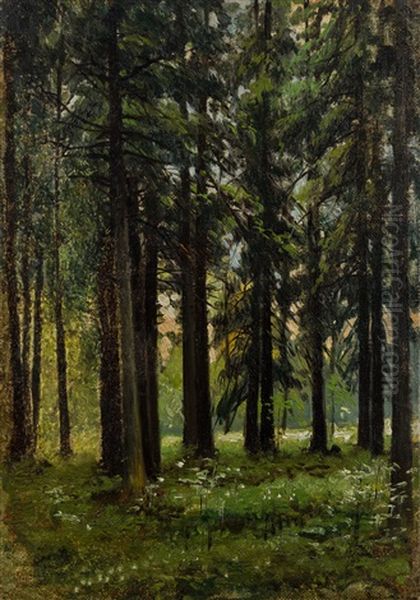 Fir Forest Oil Painting by Andrei Nikolaevich Shilder