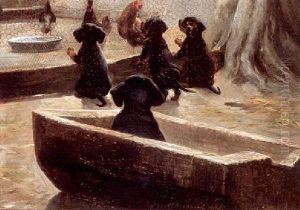 Hundehvalpe Ved En Honsegard Oil Painting by Simon Simonsen