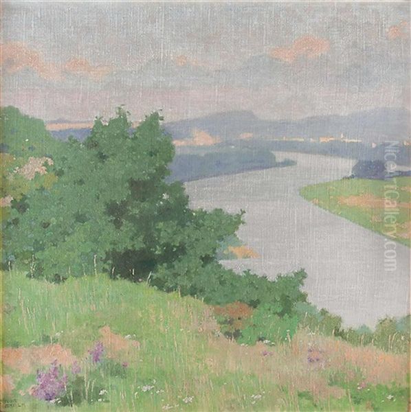 Blick Auf Die Donau Oil Painting by Robert Skala