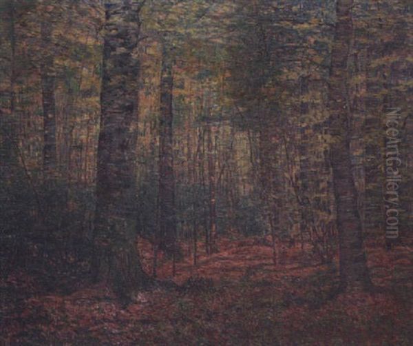 Beech Woods Oil Painting by John Franklin Stacey