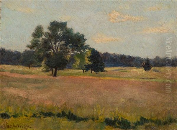 Pejzaz Z Drzewami Na Polu Oil Painting by Zofia Stankiewicz