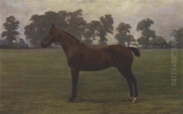 A Dark Brown Hack In A Landscape Oil Painting by Henry John Sylvester Stannard