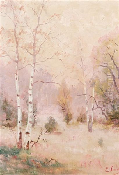 Birches Oil Painting by Eugen Taube