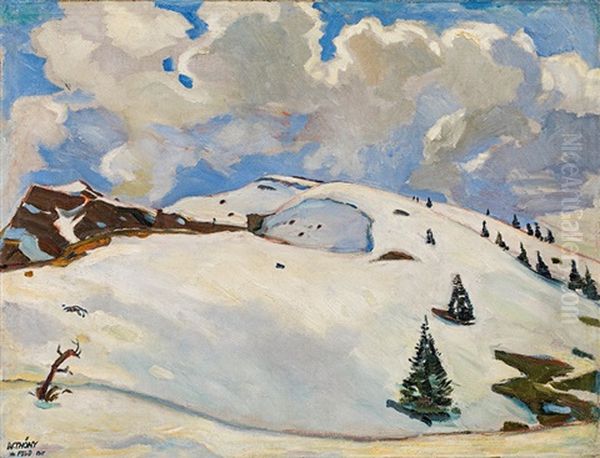 Im Feld Oil Painting by Wilhelm Thoeny