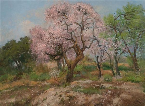 Almendros En Flor Oil Painting by Aurelio Tolosa Alsina
