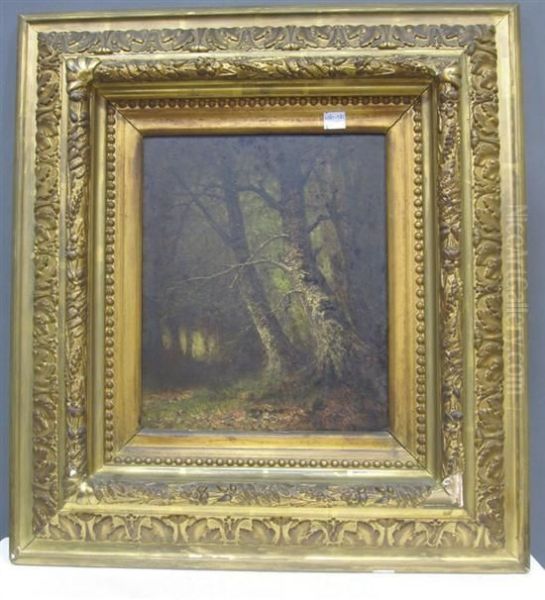 Beeches Oil Painting by Carl Christian Brenner