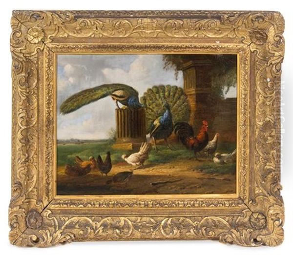 Landscape With Peacocks And Fowl Oil Painting by Albertus Verhoesen