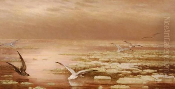 Untitled Oil Painting by Fidelia Bridges