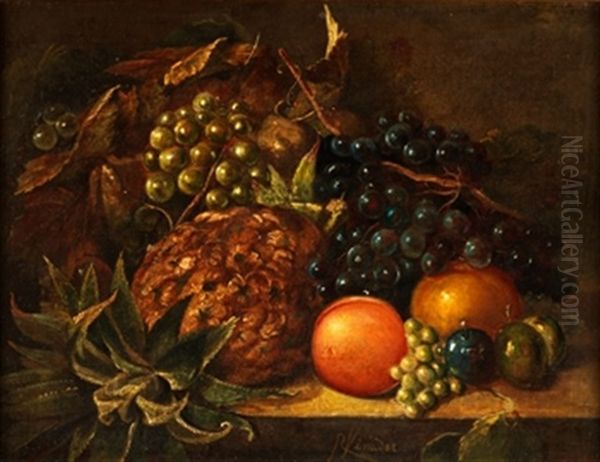 Bodegon Oil Painting by Rafael Vinader