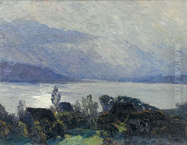 Blick Von Der Hohenwarte Reichenau Auf Den Untersee Oil Painting by Wilhelm Volz