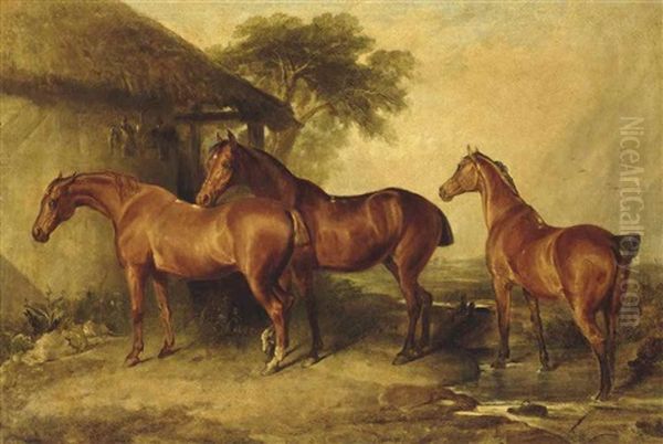 Bay Hunters By A Barn Oil Painting by William Webb