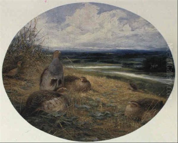 Partridges Oil Painting by Charles Whymper
