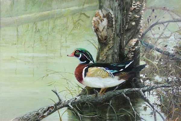Wood Duck By A River Oil Painting by John Jock Wilson