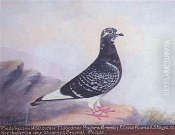 Blue Hen Midget Oil Painting by Edward Henry Windred