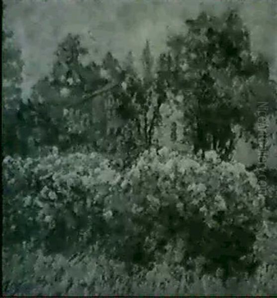 Phlox Oil Painting by Edward Oswald Wingert