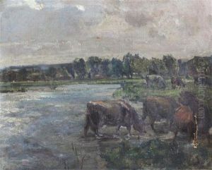Cattle Watering