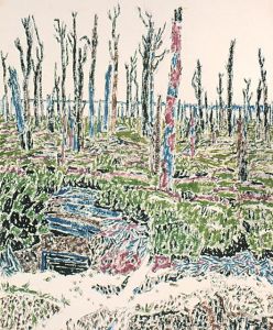 Entrance to German Dugout, Oppy Wood
