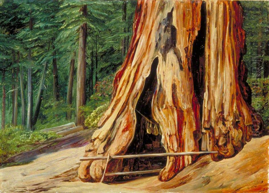 Home of an Old Trapper in the Trunk of a Big Tree, Calaveras Grove, California Oil Painting by Marianne North