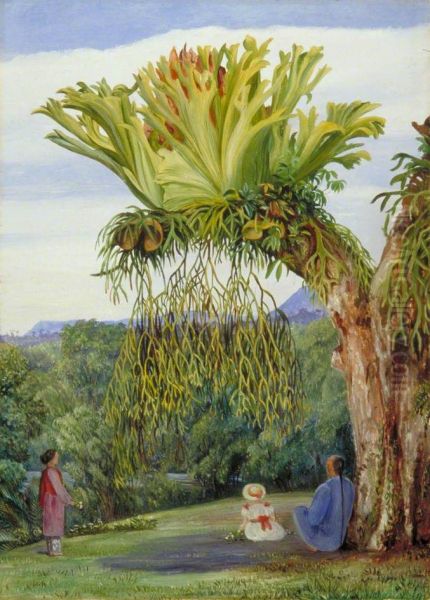 Stagshorn Fern and the Young Rajah of Sarawak, Borneo, with Chinese Attendant Oil Painting by Marianne North