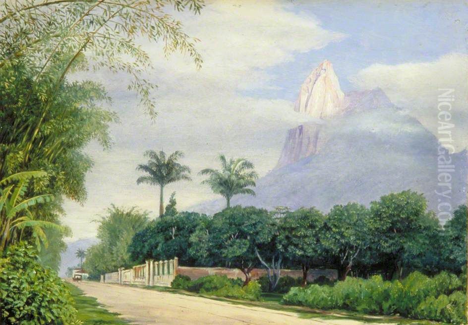 View of the Corcovado Mountain near Rio de Janeiro, Brazil Oil Painting by Marianne North