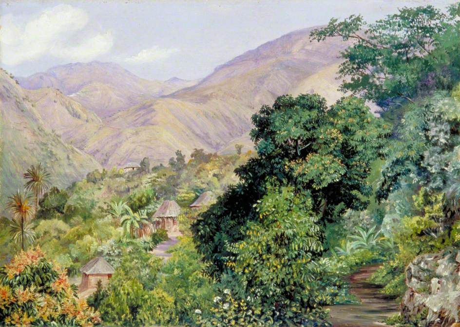 Distant View of Newcastle, Jamaica Oil Painting by Marianne North