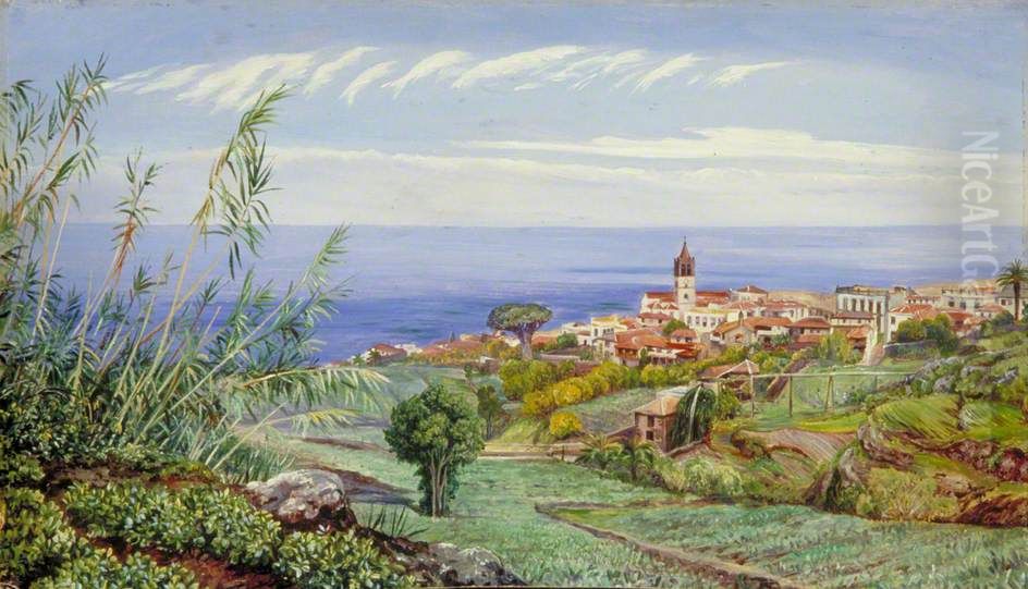 View of Icod, Teneriffe Oil Painting by Marianne North
