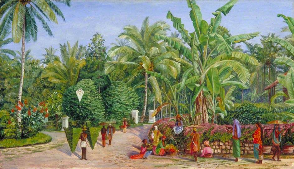 View from the Artist's Window at Buitenzorg, Java Oil Painting by Marianne North