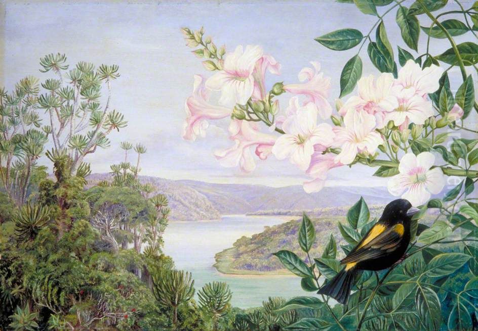 View on the Kowie River with Trumpet Flower in Front Oil Painting by Marianne North