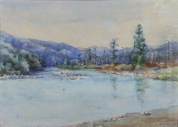 Matakitaki River, Nelson Oil Painting by Mary Elizabeth Tripe