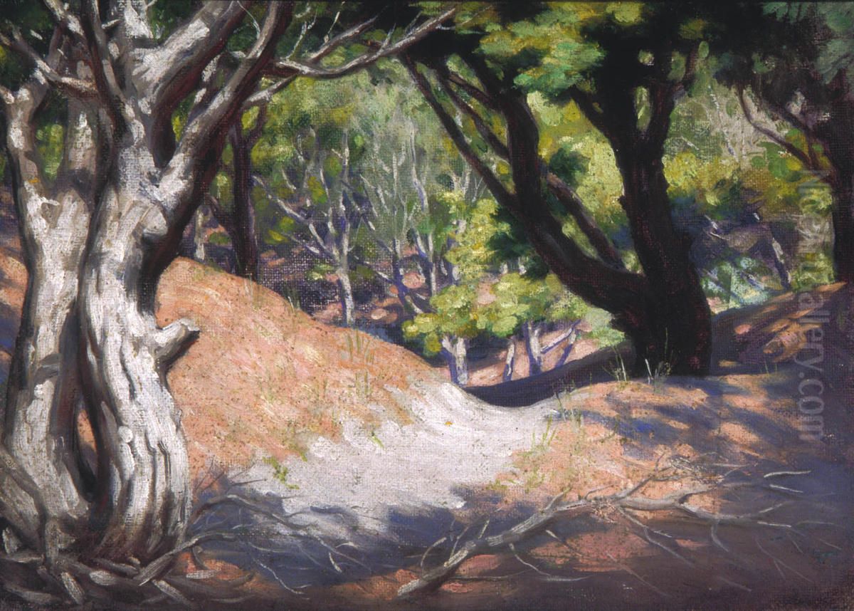Pine Glade on Sand Dune at Otaki Oil Painting by Vivian Smith