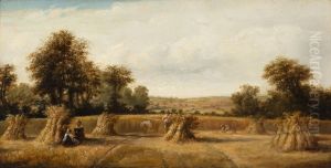 The Cornfield