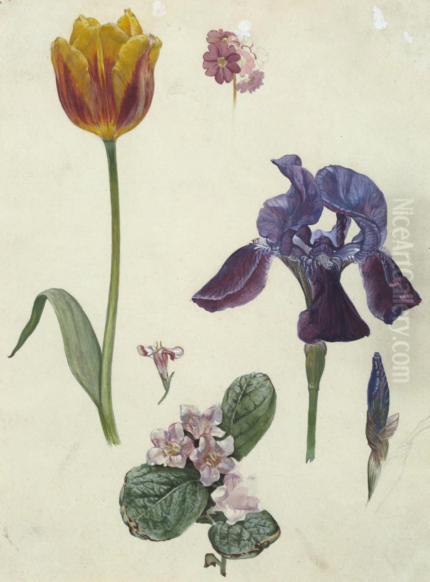 Untitled (Plant cuttings) Oil Painting by Vivian Smith