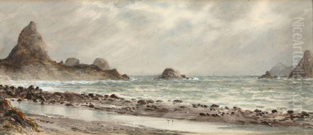 The Sugar Loaves, New Plymouth Oil Painting by Charles Decimus Barraud