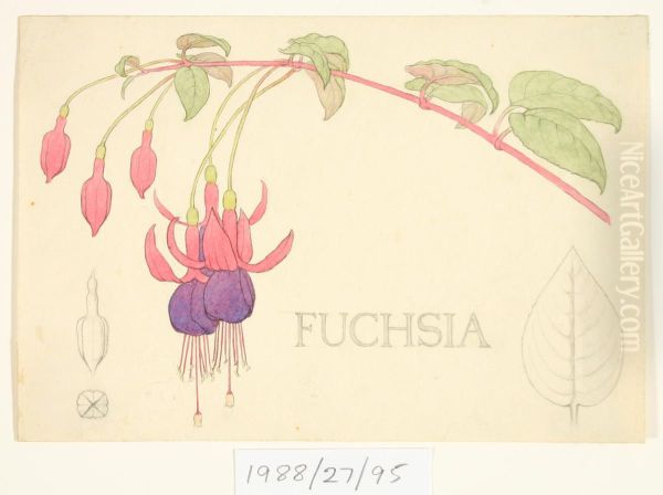 Untitled (Fuchsia) Oil Painting by Vivian Smith