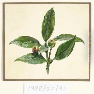 Untitled (Crab apples)