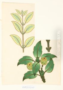 Untitled (Leaf designs)