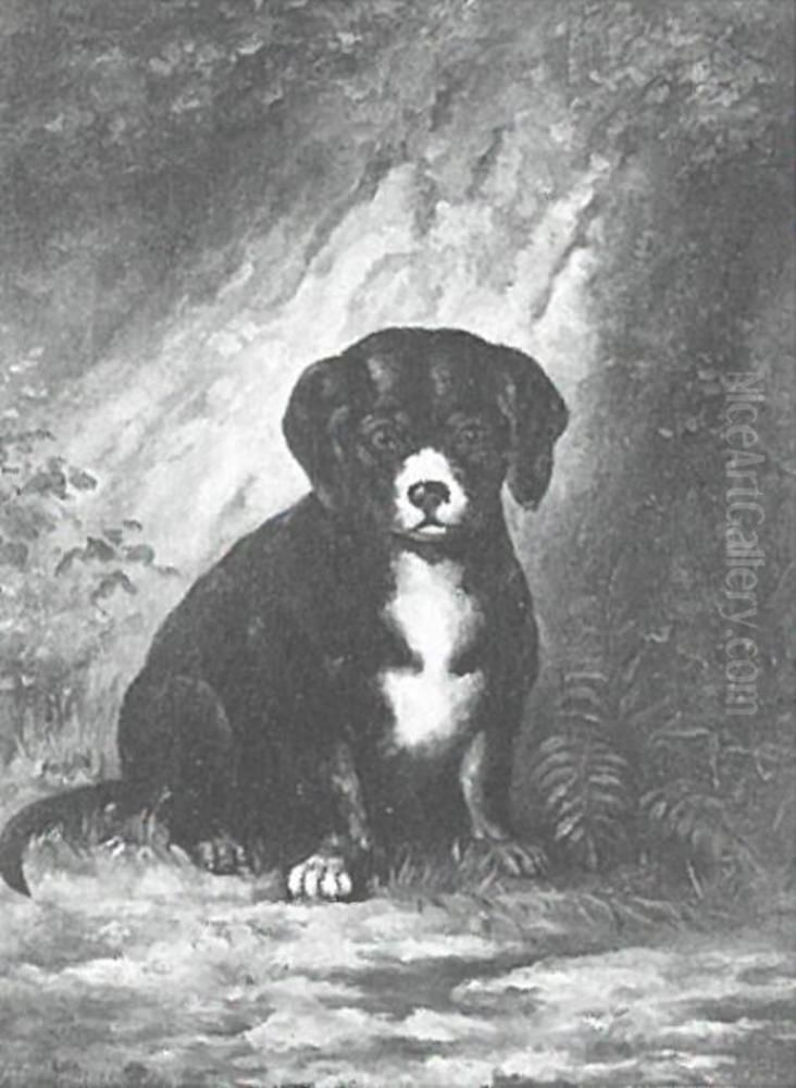 Puppy Oil Painting by Piet Mondrian